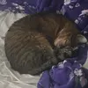 DaniOwen1130 - @daniowen1130 - TikTok