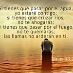 Augusto Padilla - @danipadilla36 - Instagram