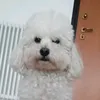 Daniele Palumbo - @danielepalumbo08 - TikTok