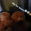 daniparrish - @bug_savage2 - TikTok