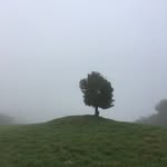 Dan Pearson OBE - @coyotewillow - Instagram