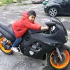 panipittbull - @danipittbull - TikTok