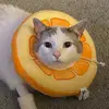 Dani - @danipoepoe - TikTok