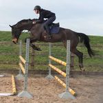 dani poole - @arehsporthorses - Instagram