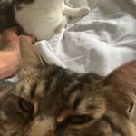 @dani.popescu25 - Instagram