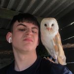 Daniel Bradley - @danielbradley2003 - Instagram