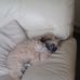 Danny Radley - Facebook