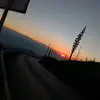 Dani Ramos - @dani.ramos211 - TikTok