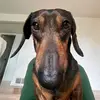 Dani - @daniirichards - TikTok
