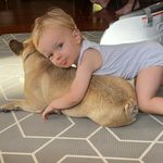Dani Richards - @dani_and_the_pets - Instagram