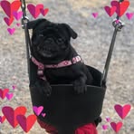 Dani Riddler - Facebook
