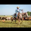 Danielle Roper - @roper0625 - TikTok