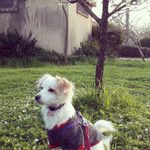 @danirotem123 - Instagram