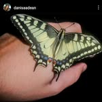 Danisa Dean - @danisaadean - Instagram