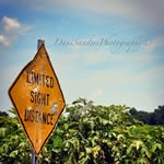 DaniSandersPhotography - @danisandersphotography - Instagram