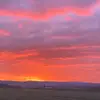 Daniela - @dani.schaefer201061 - TikTok