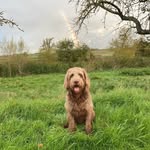 Daniela Schröder - @dani_schroeder_78 - Instagram