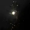 user7128576541295 - @dani.sin - TikTok