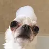 Danisinclair2 - @danisinclair2 - TikTok