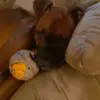 danismiley - @danismiley4 - TikTok