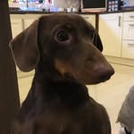 Dan Stanton - @danstanton8674 - Instagram