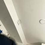 Danni Steiner - @danisteiner36 - Instagram