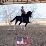 Dani Stout - @turningpointequestrianllc - Instagram