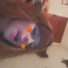 Dani temares - @dxddy_6789 - TikTok