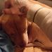 Daniel Townsend - Facebook