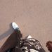 Daniel Ulrich - Facebook