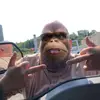 nad ograv 🦆 - @danielvargo - TikTok