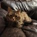 Dani Walters - Facebook