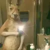 Dani - @daniwb4 - TikTok