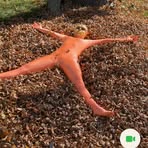 Dani Webster - Facebook