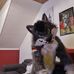 Daniel Weiss - Facebook
