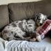 Dannie Whelan - Facebook