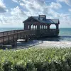 Danielle Wiley - @daniwi55 - TikTok