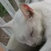 Danny wiley - @danny.wiley - TikTok