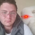 Daniele Zenoni - @dani_zeno_9 - Instagram