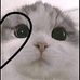 Dania Albarado - Facebook