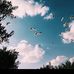 Dania Alkhateeb - Facebook