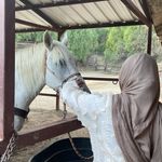DANIA | دانيا - @dania.alsaidi - Instagram
