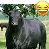 daniaaranda585 - @daniaaranda585 - TikTok