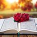 Dania Baker - Facebook