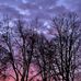 Dania Bennett - Facebook