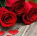 Dania Cabrera - Facebook