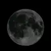 Dania Cabrera - @dania.cabrera2 - TikTok