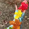 Dania cabrera - @familiacabrera.or - TikTok