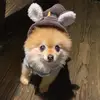 daniacamacho04 - @daniacamacho04 - TikTok