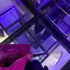 Dania Farhat - @dania.farhat - TikTok